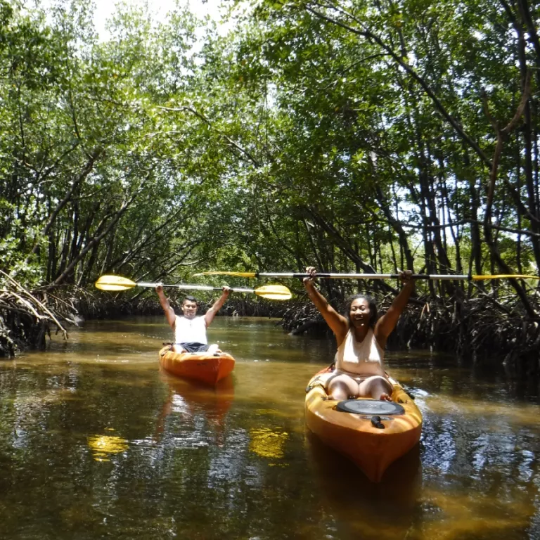 Cruise through hidden mangrove tunnels with Rising Tide Explorers in Naples, Florida! Photo 4