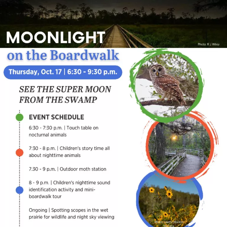 Corkscrew's Moonlight Boardwalk Event Photo