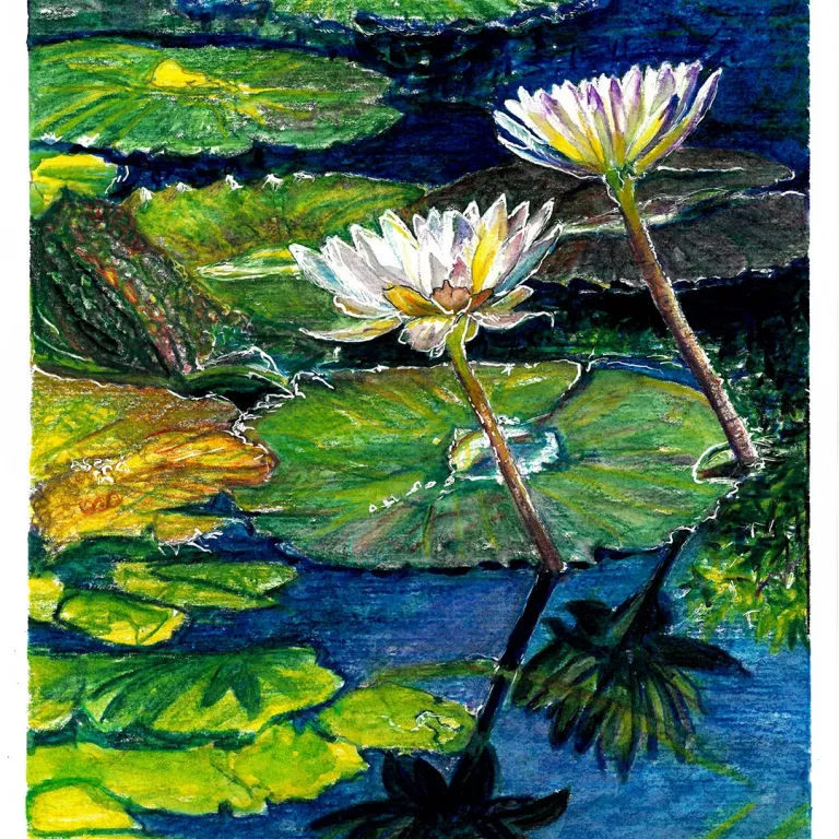 Nature Journaling Invitational at Naples Botanical Garden. Photo credit: Iris Tower, Timeless, 2024 Photo