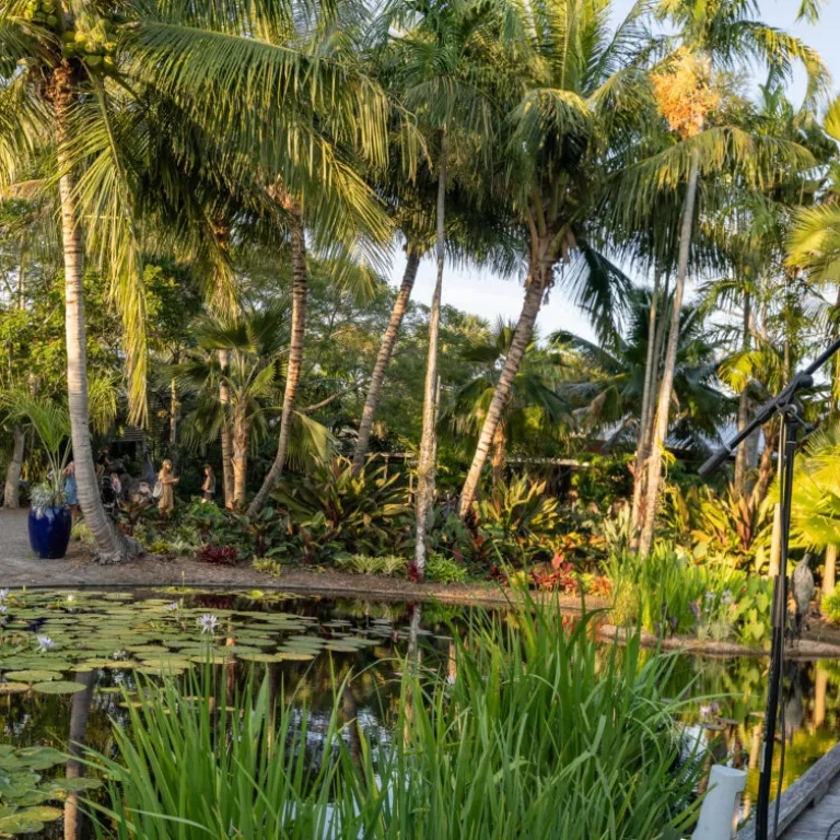 Friday After 5 at Naples Botanical Garden Photo