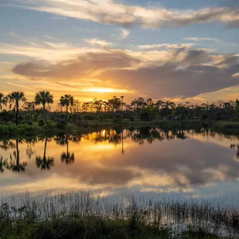 Sunset Wednesdays at Naples Botanical Garden Photo
