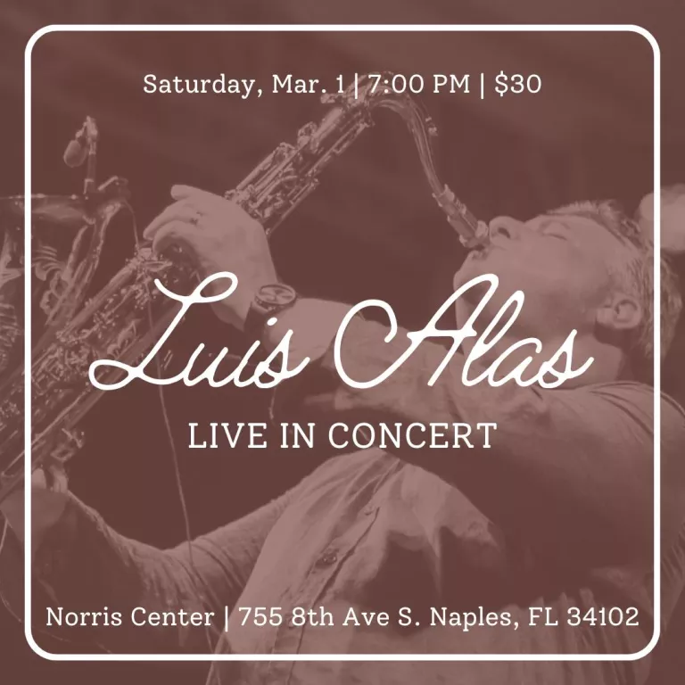 Luis Alas Live in Concert Photo