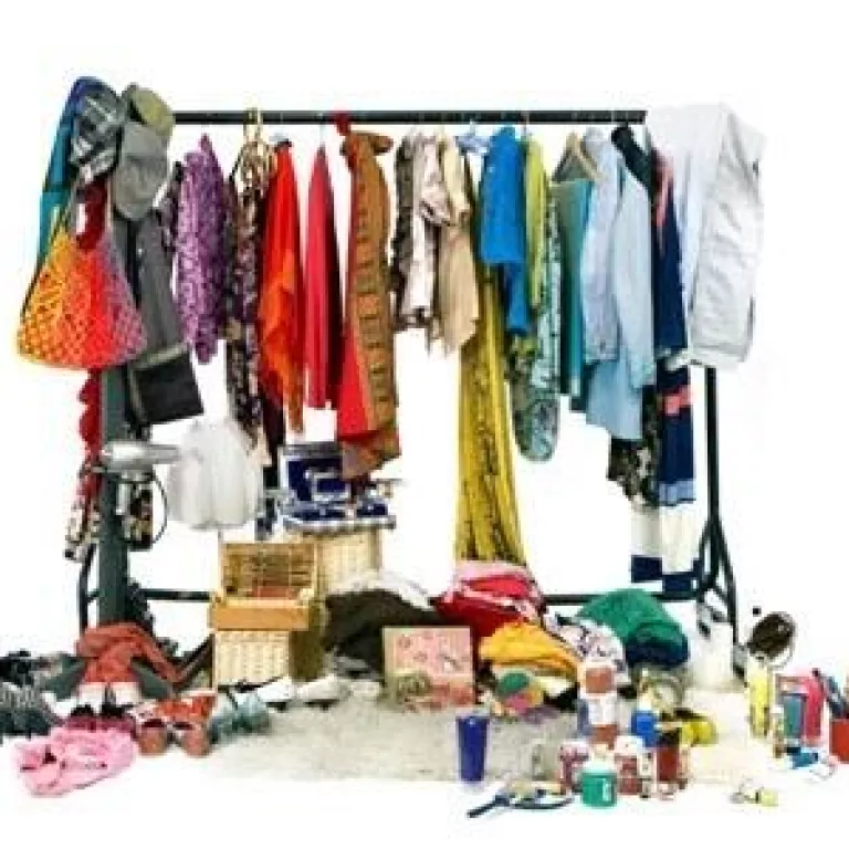 Treasures in the Trunk Photo