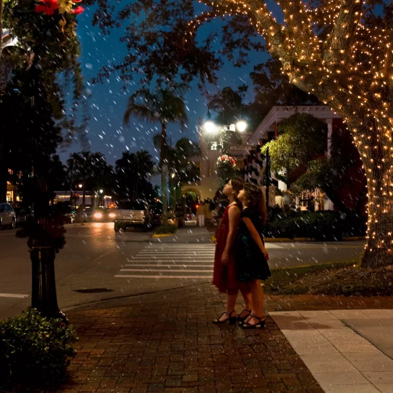 Tree Lighting Photo