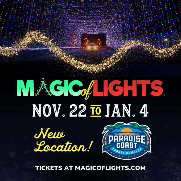 Magic of Lights Photo