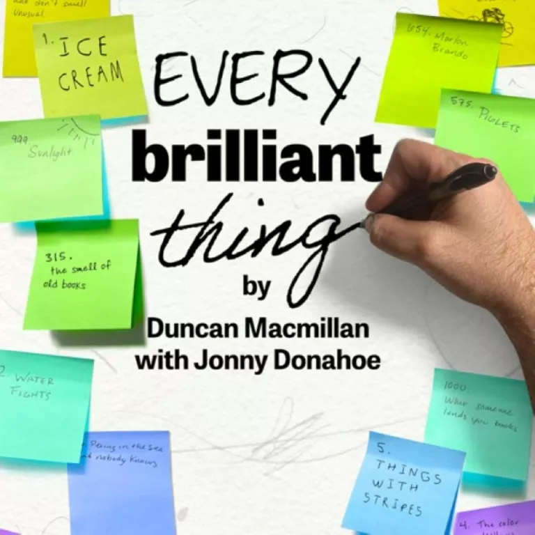 Every Brillant Thing Photo
