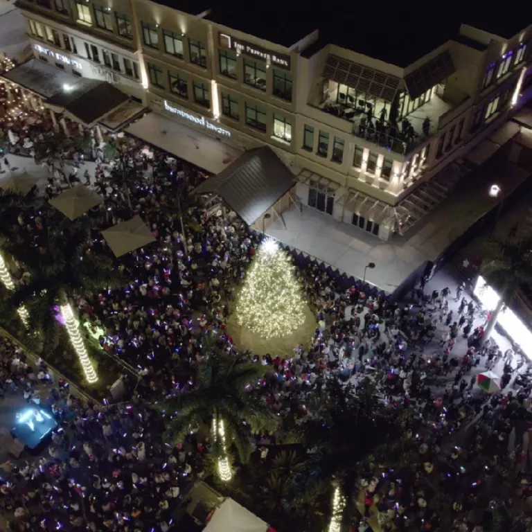 Ariel view of Mercato's tree lit up from 2023's event Photo
