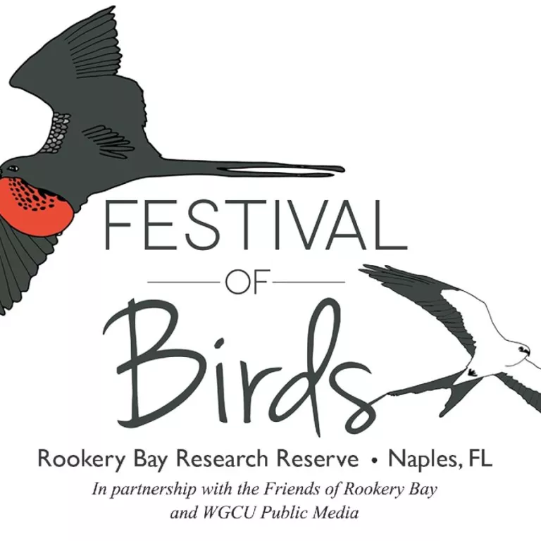 Festival of Birds 2025 Photo