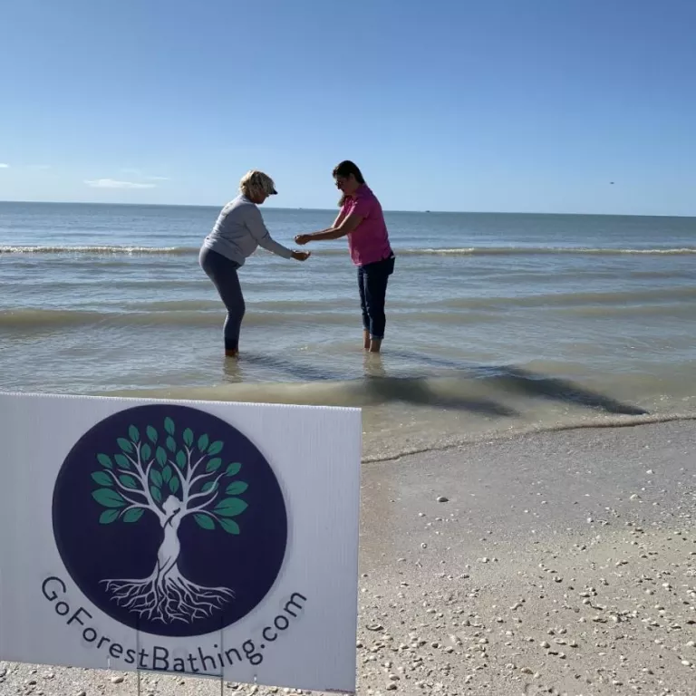 Forest bathing at the beach is a sensory wellness experience Photo