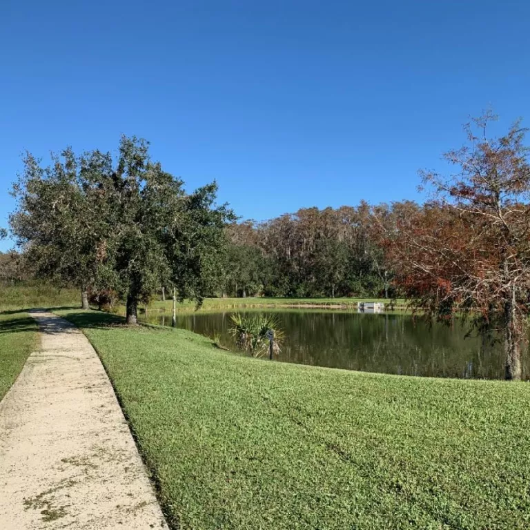 Forest bathing will be held in North Park in Ave Maria Photo 2