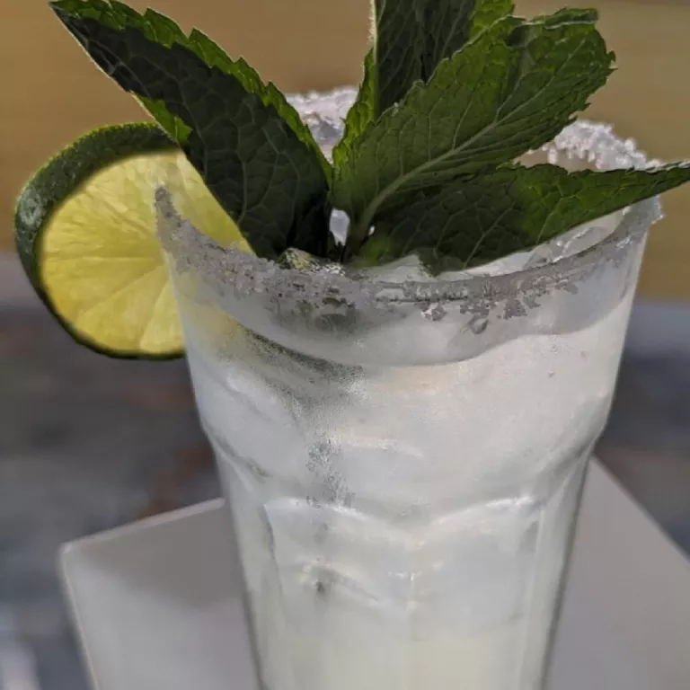Cuban Mojito Photo 2