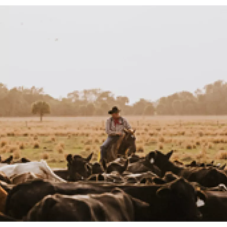 SW FL Ranch Life Photo