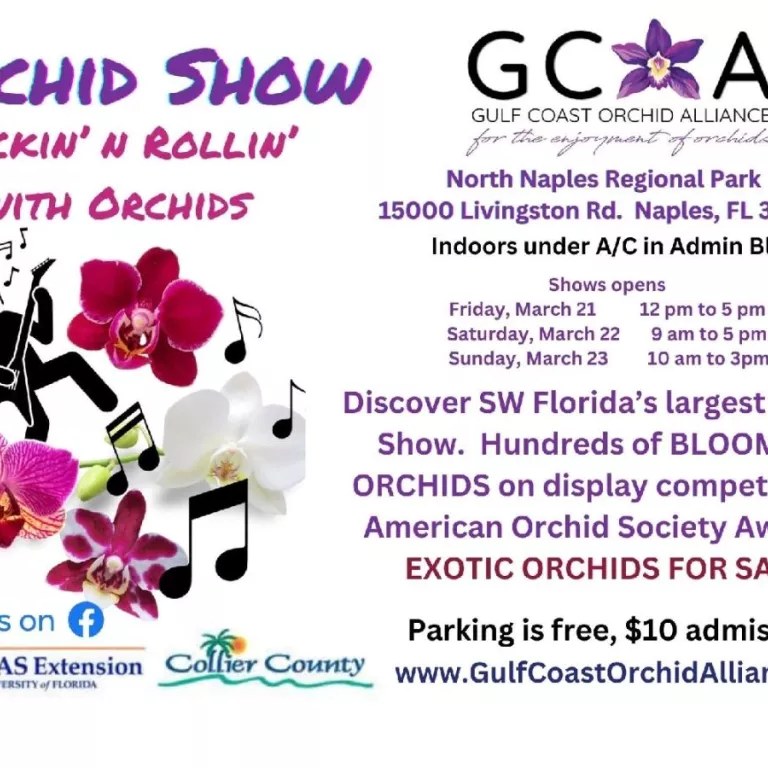 GCOA Orchid Show Photo