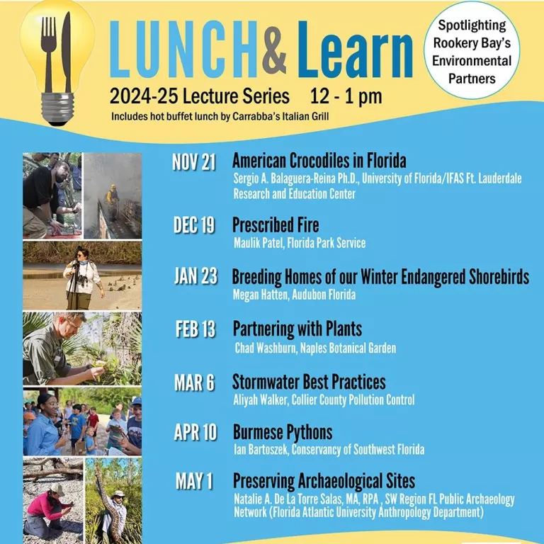 lunch and learn Photo