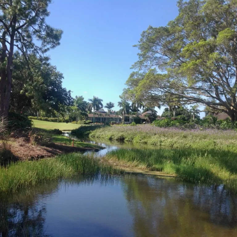 Royal Palm Country Club Photo