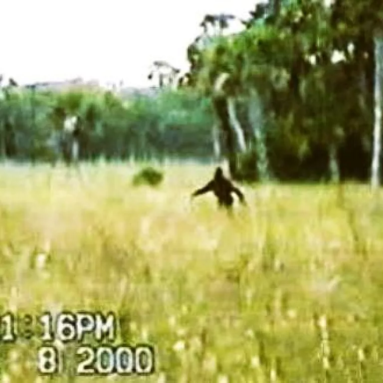 Skunk Ape Lecture Photo