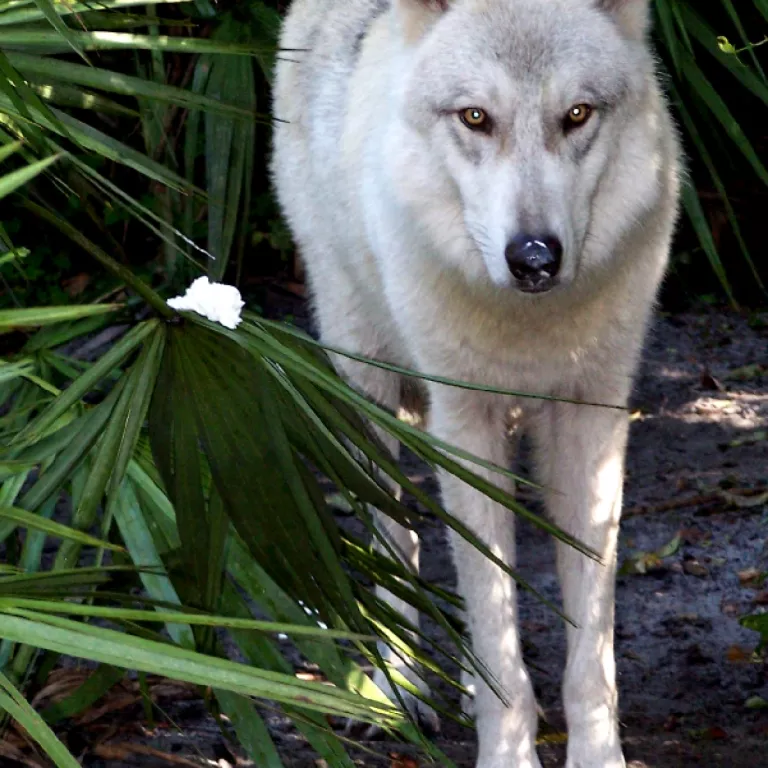 Tien waiting to greet guests. Photo
