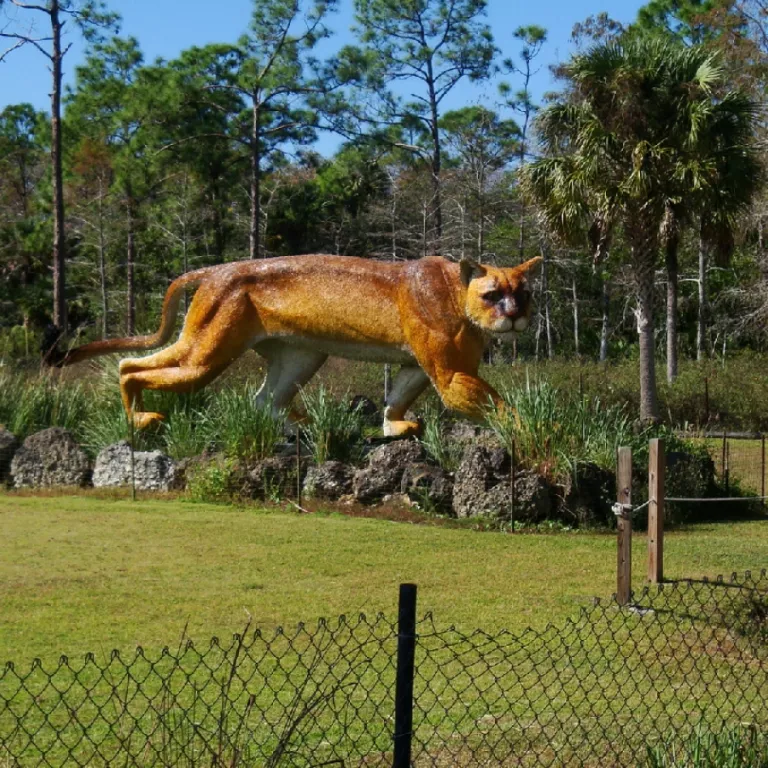 Florida panther statue outside Trail Lakes Campground Photo 2