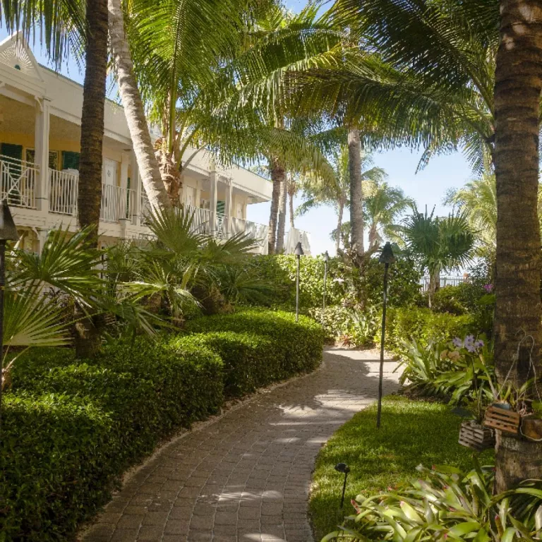 Lush, tropical orchid garden leads directly to Vanderbilt Beach Photo 3