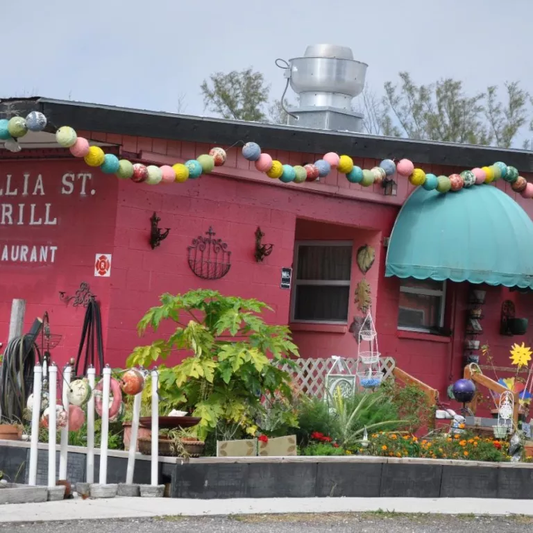 Camellia Street Grill Photo