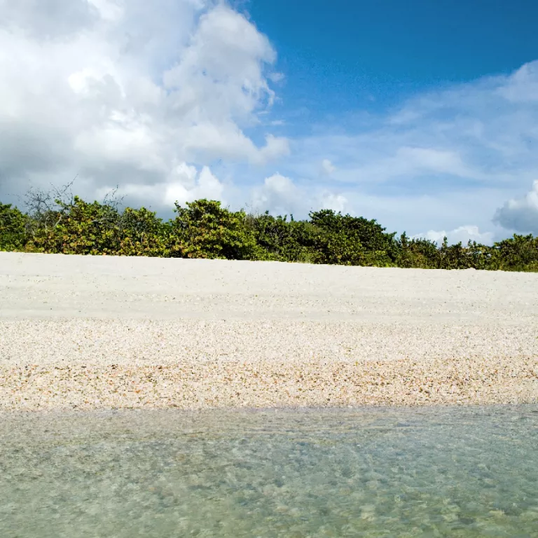 Clam Pass Beach Park Photo