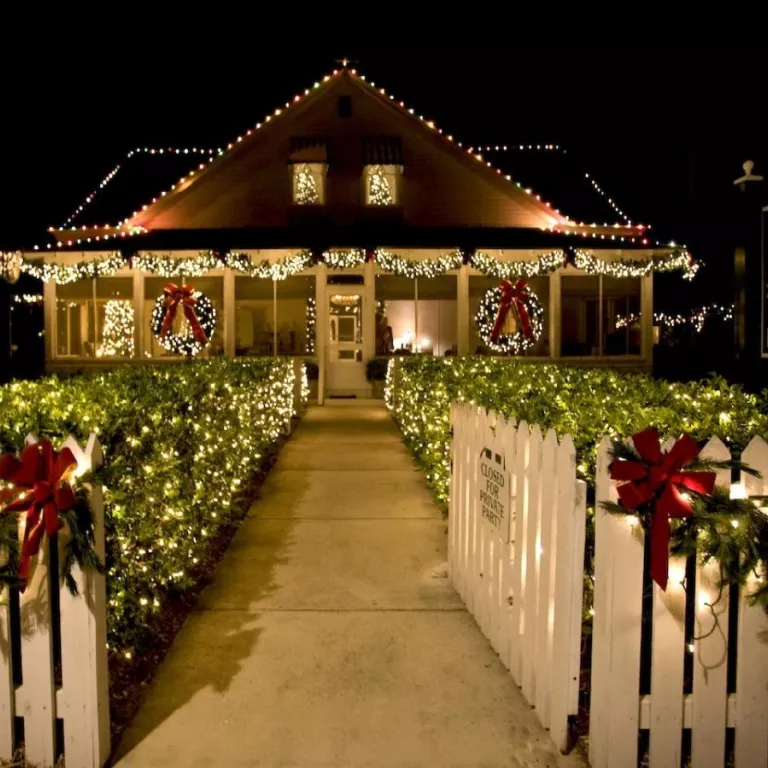 Christmas at Historic Palm Cottage Photo