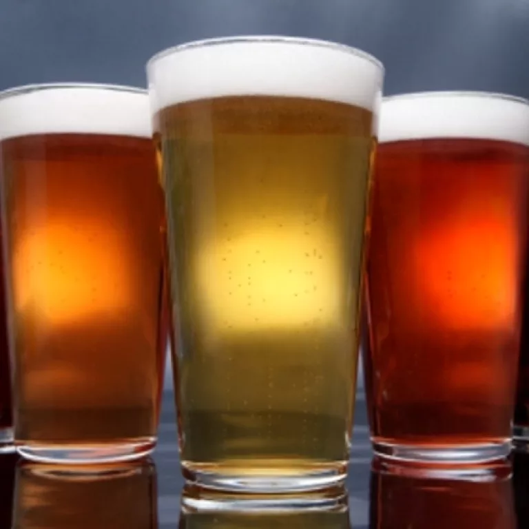 Naples Craft Beer Festival at Bayfront Photo