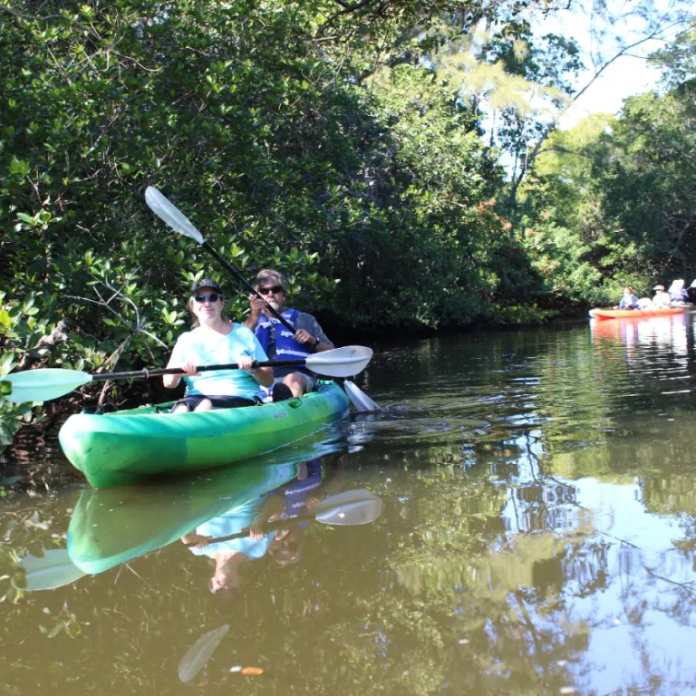 The Conservancy offers the only guided kayak tours along the Gordon River. Photo 2