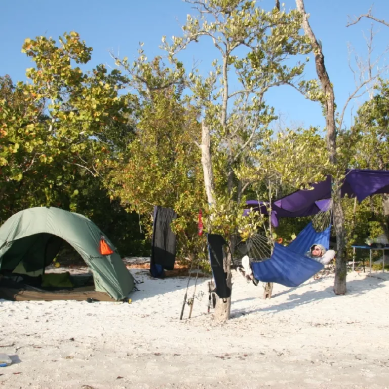 Wilderness Inquiry - Florida Everglades 10,000 Islands Photo