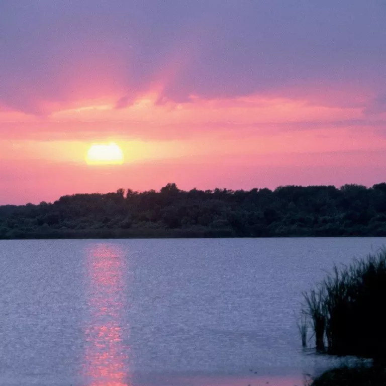 Sunset at Lake Trafford Photo