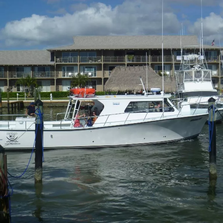 Dalis Fishing Charters Photo