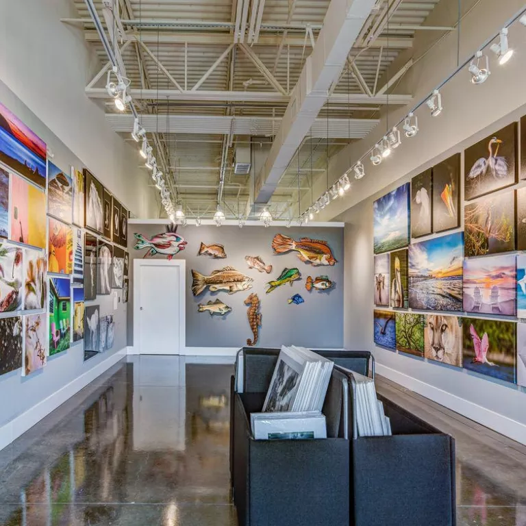 Dennis Goodman Photography and Printing Art Gallery Photo