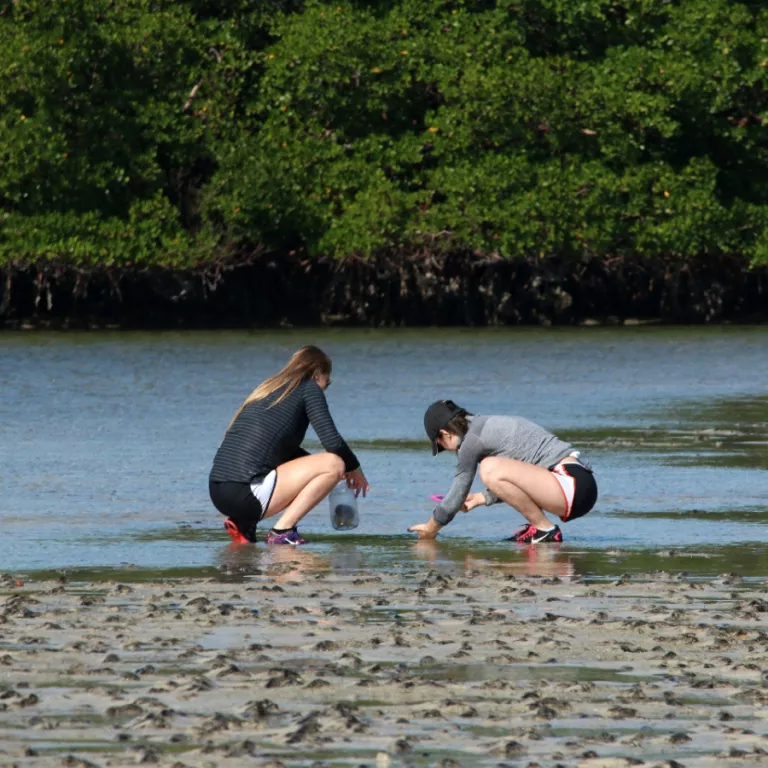 Summer Institute for Marine Science Photo 2