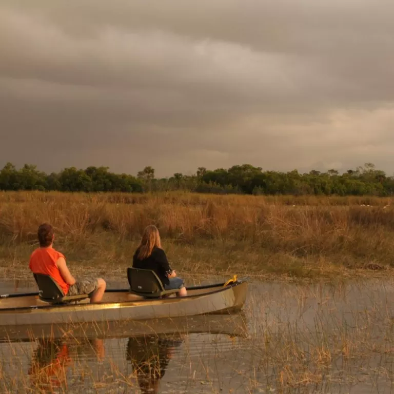 Everglades Adventure Tours Photo 3