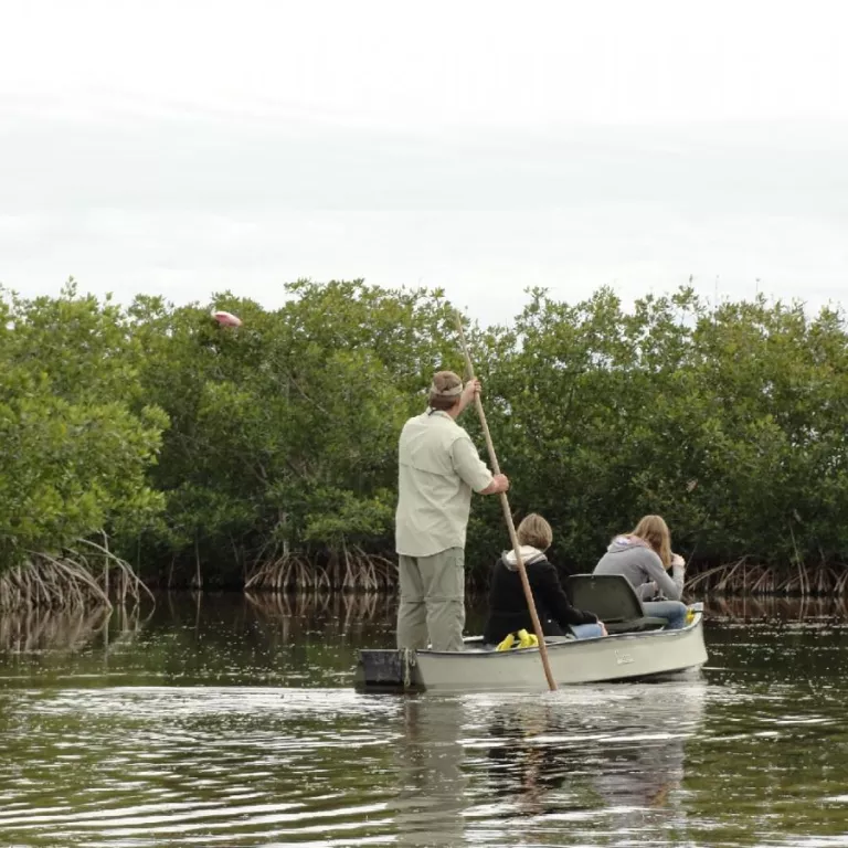 Everglades Adventure Tours Photo 2