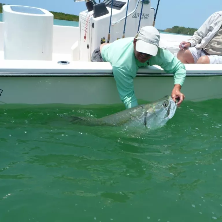 Everglades Guide Service Photo