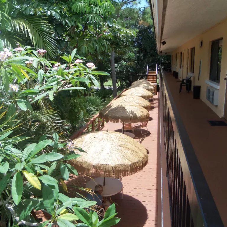 Outdoor Seating Photo 3