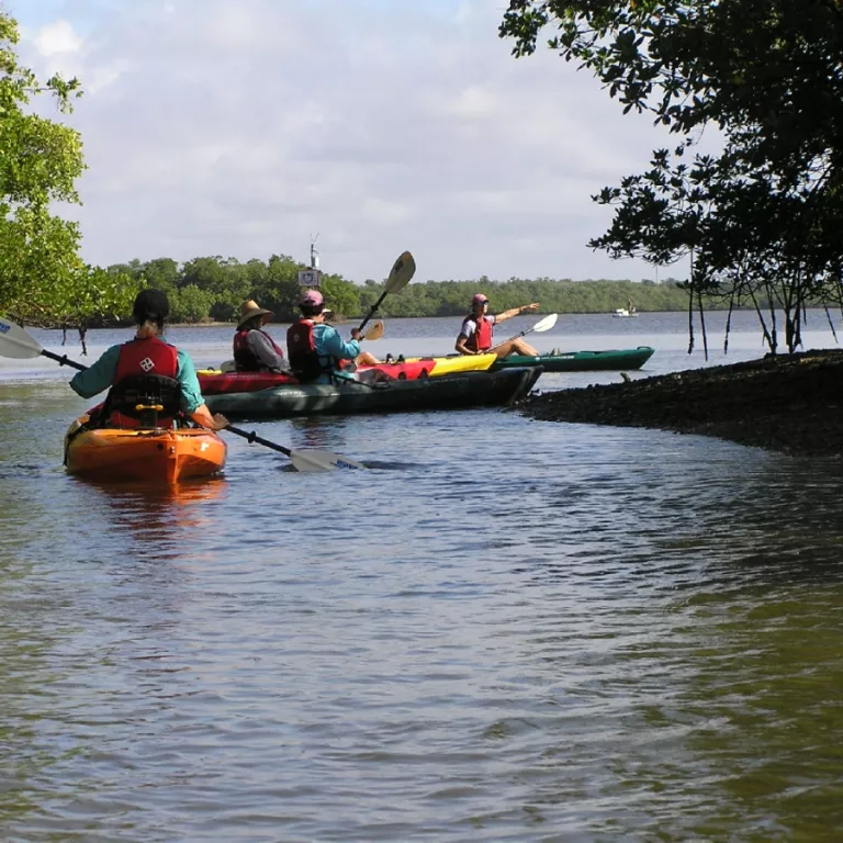 Rookery Bay Reserve offers 2-hour guided kayak trips, a wonderful way to get an upclose view of nature. Photo 5