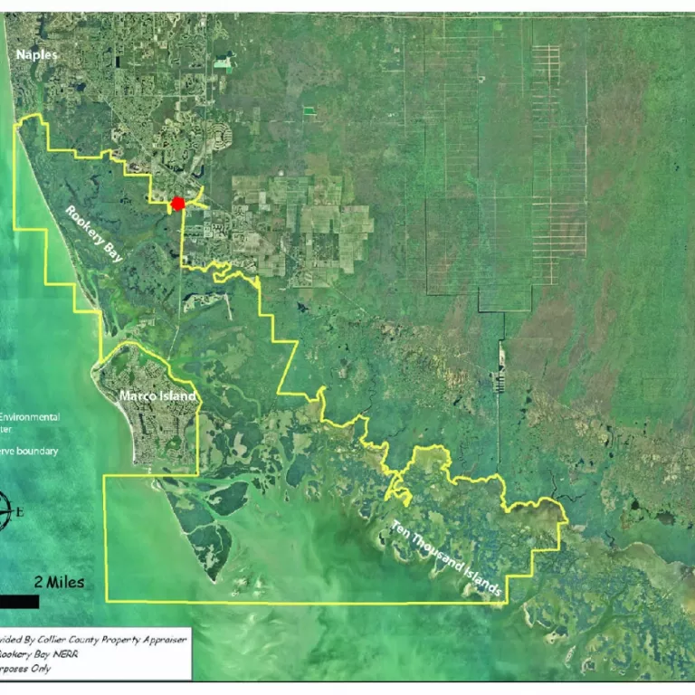 The Rookery Bay National Estuarine Research Reserve encompasses 110,000 acres on the western edge of the Everglades. Photo 3