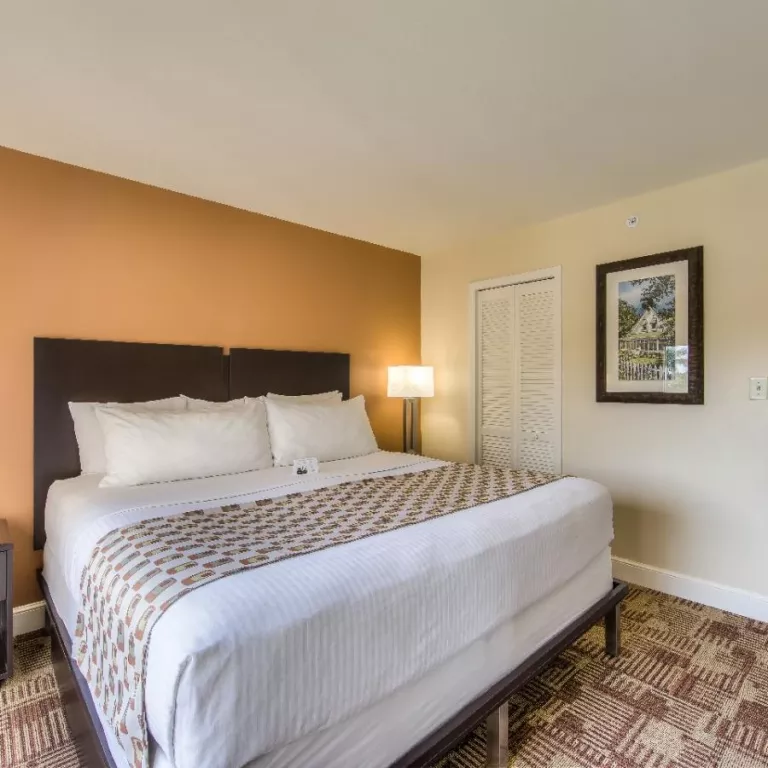 King Suite Photo 3