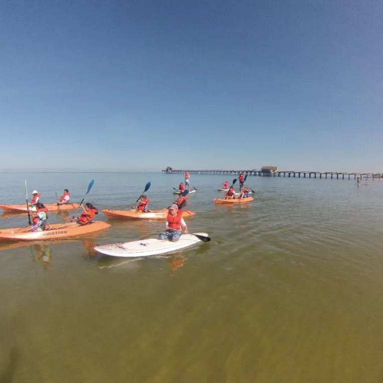 Naples paddleboard, stand up paddleboard and kayak adventure tours Photo 10