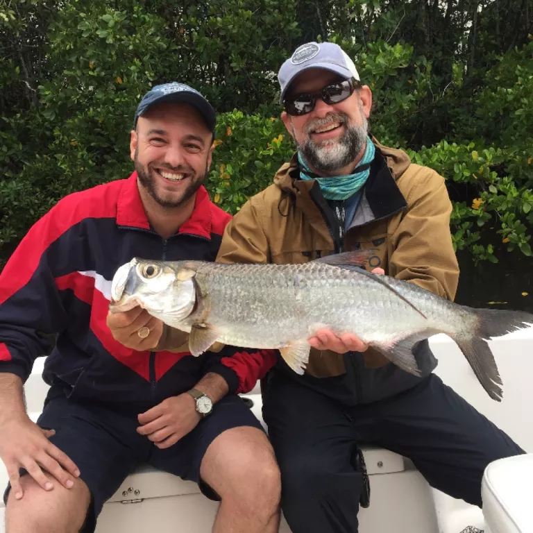 Tarpon fishing in Naples Photo