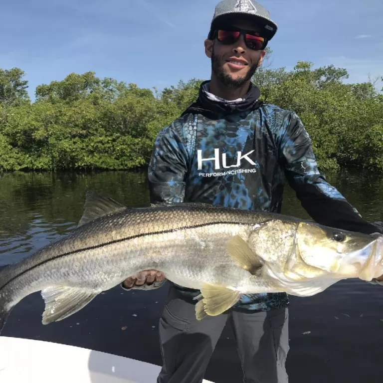 Backwater snook fishing in Naples Photo 7