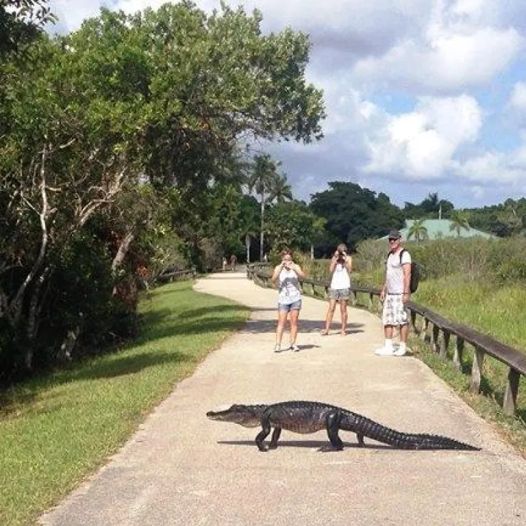 Tour The Glades - Private Wildlife Tours Photo 2
