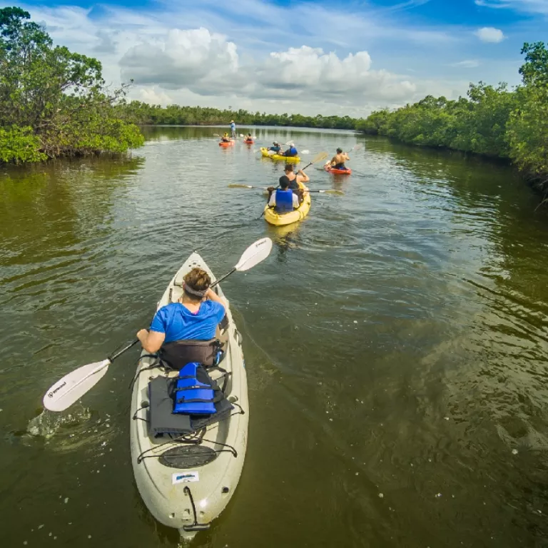 Rookery Bay Guided Kayak Tour Photo 8