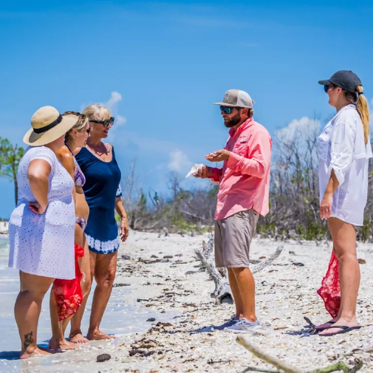 Cape Romano Sightseeing and Shelling Tour Photo 5