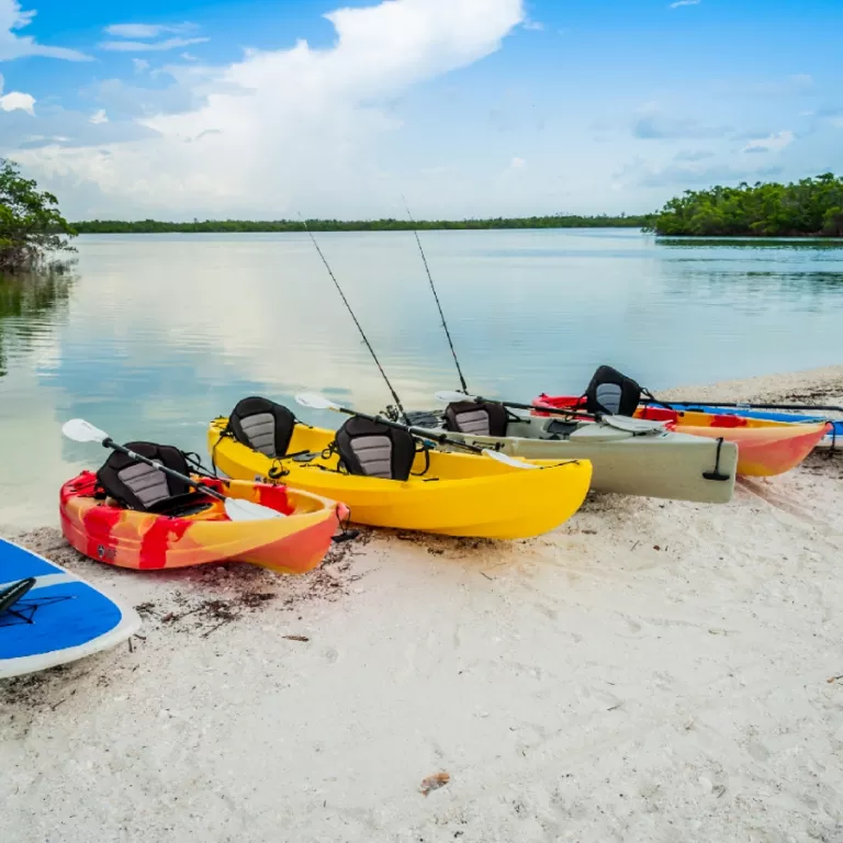 Paddleboard and Kayak Rentals Photo 4