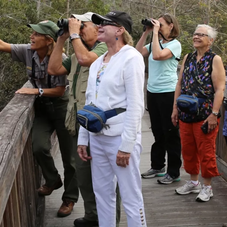 Birding Basics Photo 2