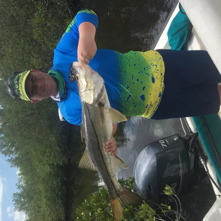 Snook/Everglades National Park Photo 7