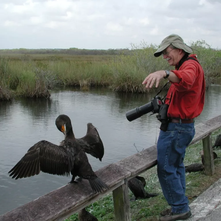 Festival of the Birds Photo 3